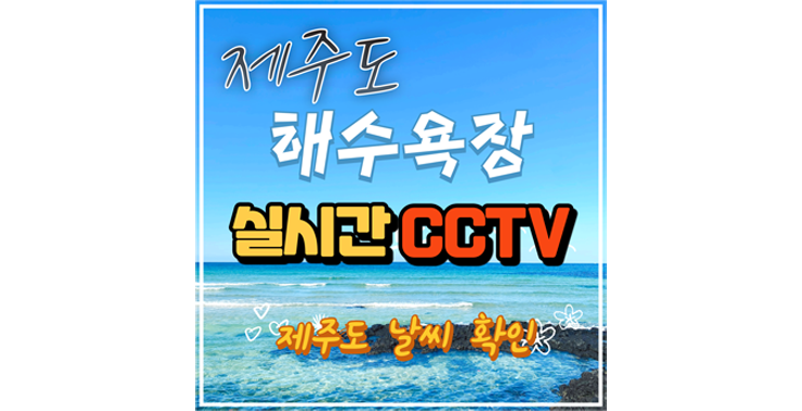 제주도 해수욕장 실시간 날씨 CCTV 영상 보기 『제주도CCTV』
