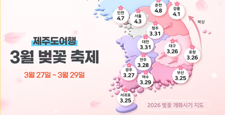 3월말 제주도 여행하면 꼭 가봐야 할 왕벚꽃 축제 『제주벚꽃축제』